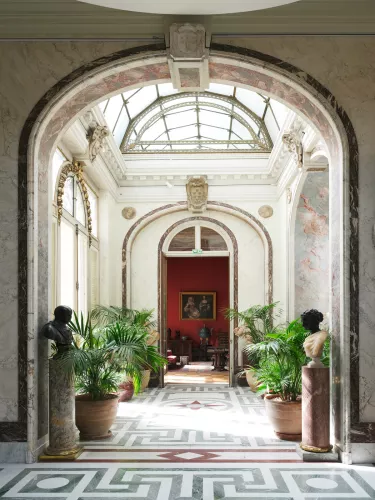 jardin d'hiver plantes vertes